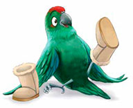 Parakeet in Ugg Boots